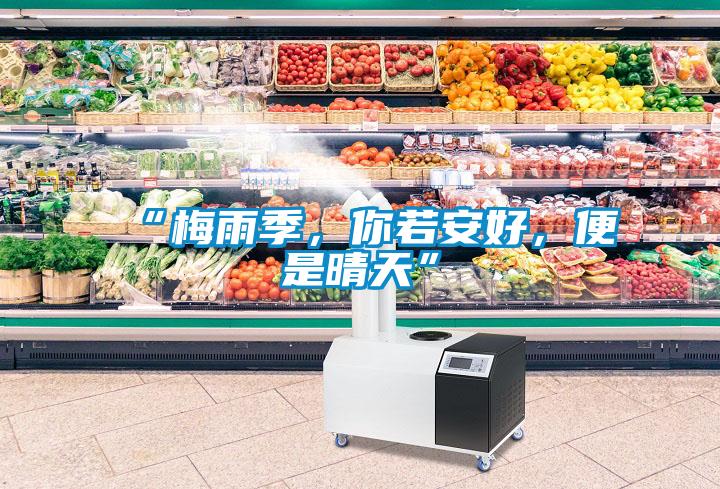 “梅雨季，你若安好，便是晴天”