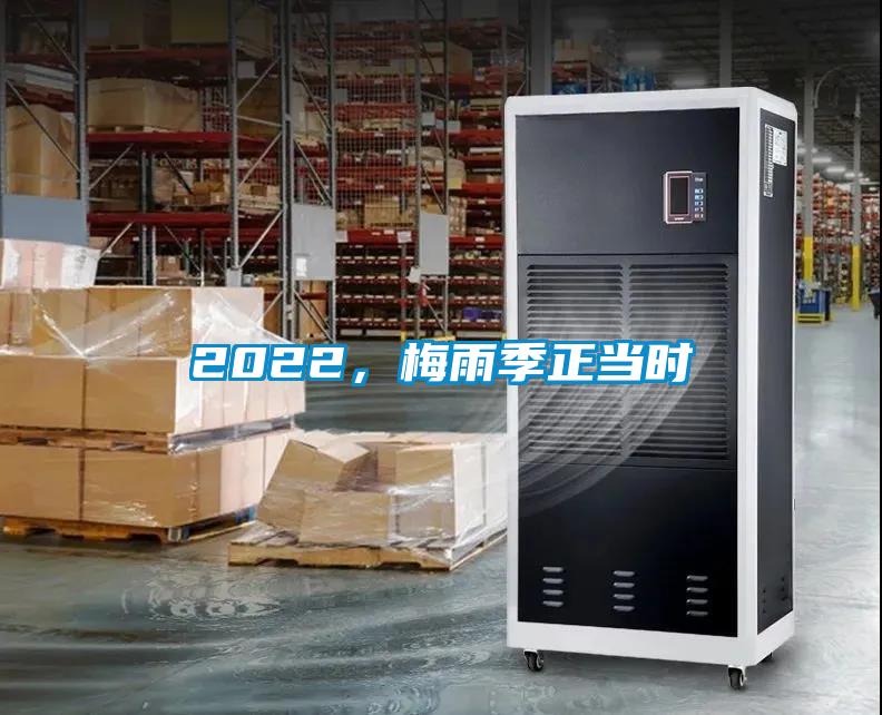 2022，梅雨季正當(dāng)時
