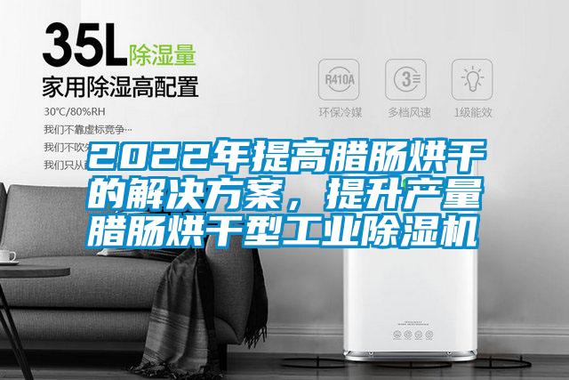 2022年提高臘腸烘干的解決方案，提升產量臘腸烘干型工業除濕機