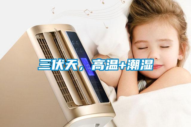 三伏天，高溫+潮濕