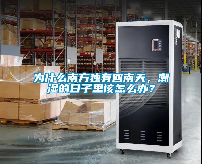 為什么南方獨(dú)有回南天，潮濕的日子里該怎么辦？
