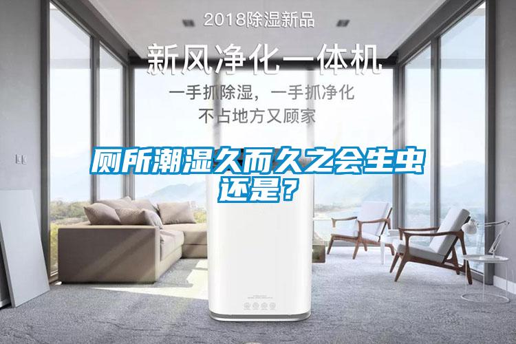 廁所潮濕久而久之會(huì)生蟲(chóng)還是？