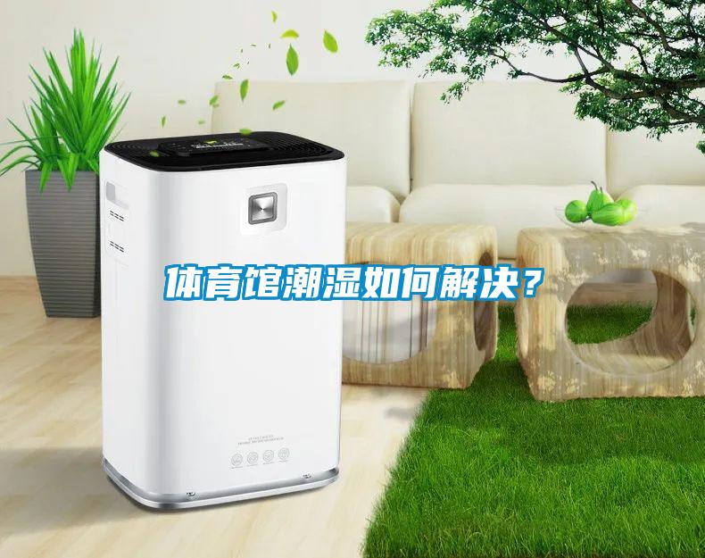 體育館潮濕如何解決？