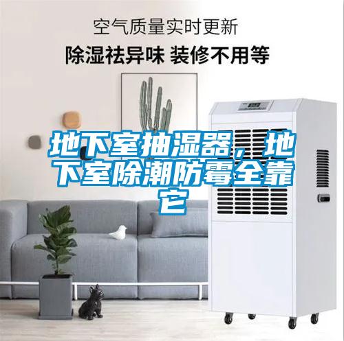 地下室抽濕器，地下室除潮防霉全靠它