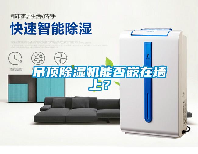 吊頂除濕機能否嵌在墻上？