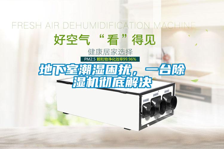 地下室潮濕困擾，一臺除濕機徹底解決