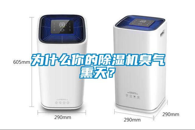 為什么你的除濕機臭氣熏天？