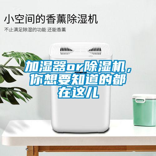 加濕器or除濕機，你想要知道的都在這兒