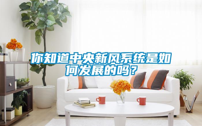 你知道中央新風系統是如何發展的嗎？