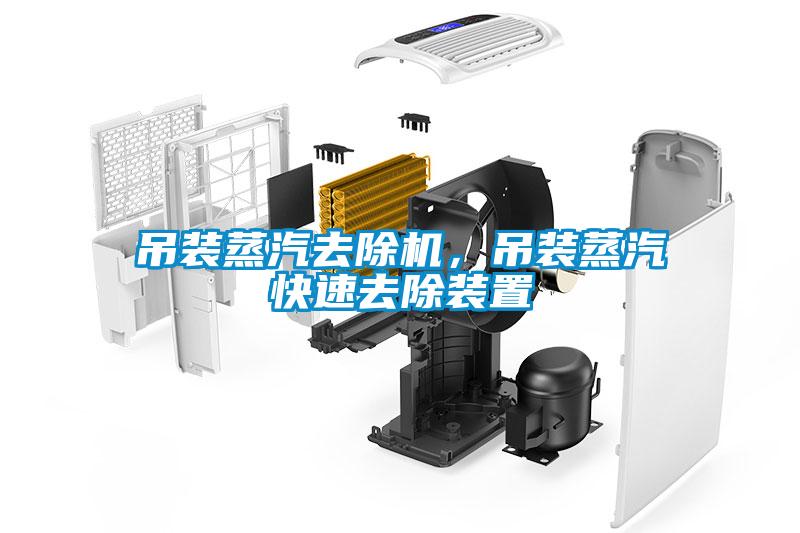 吊裝蒸汽去除機，吊裝蒸汽快速去除裝置