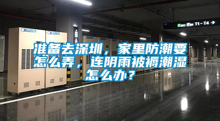 準備去深圳，家里防潮要怎么弄，連陰雨被褥潮濕怎么辦？