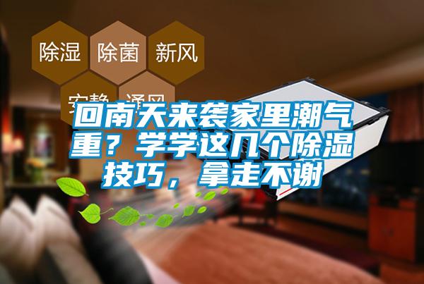 回南天來襲家里潮氣重？學(xué)學(xué)這幾個(gè)除濕技巧，拿走不謝