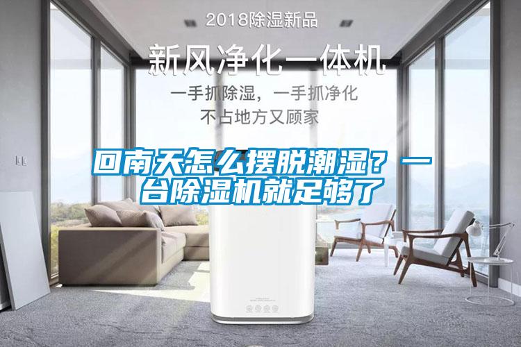 回南天怎么擺脫潮濕？一臺(tái)除濕機(jī)就足夠了