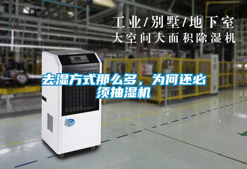 去濕方式那么多，為何還必須抽濕機(jī)