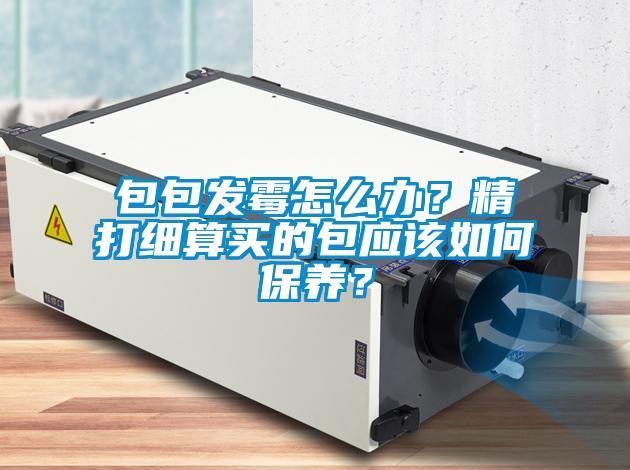 包包發霉怎么辦？精打細算買的包應該如何保養？
