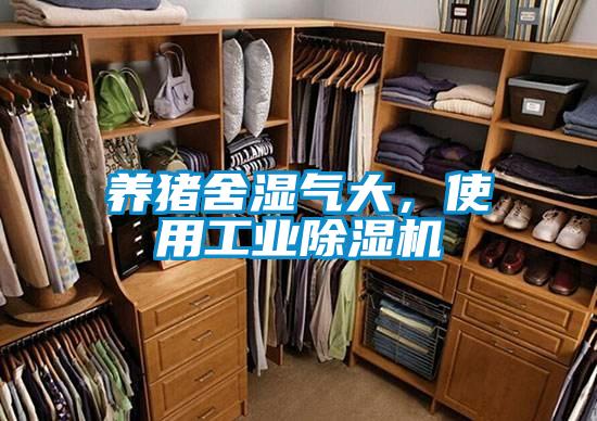 養豬舍濕氣大，使用工業除濕機