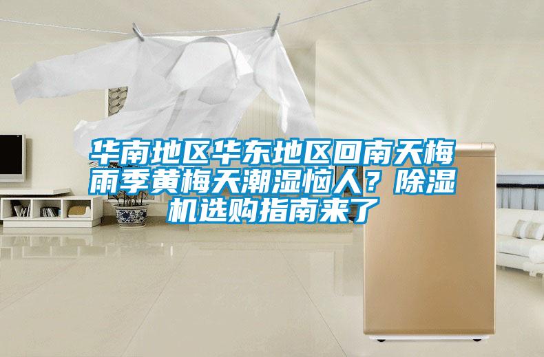 華南地區(qū)華東地區(qū)回南天梅雨季黃梅天潮濕惱人？除濕機(jī)選購(gòu)指南來(lái)了