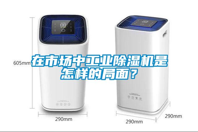 在市場中工業除濕機是怎樣的局面？