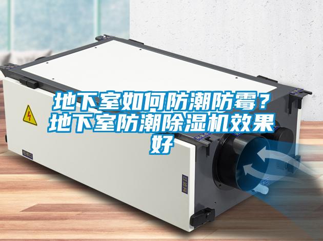 地下室如何防潮防霉？地下室防潮除濕機效果好