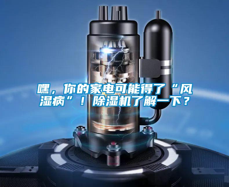 嘿，你的家電可能得了“風(fēng)濕病”！除濕機了解一下？