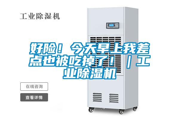 好險！今天早上我差點也被吃掉了！｜工業(yè)除濕機