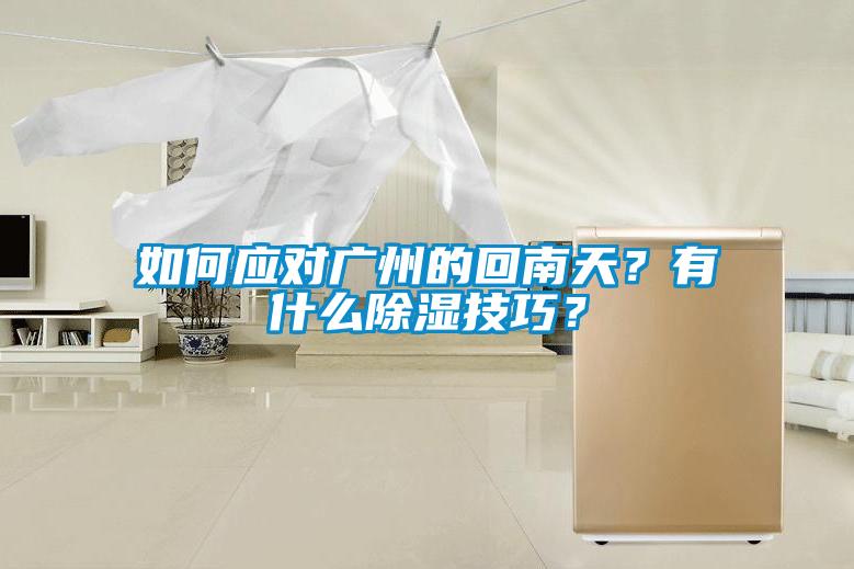 如何應對廣州的回南天？有什么除濕技巧？
