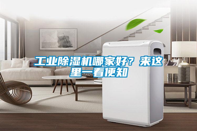 工業(yè)除濕機哪家好？來這里一看便知