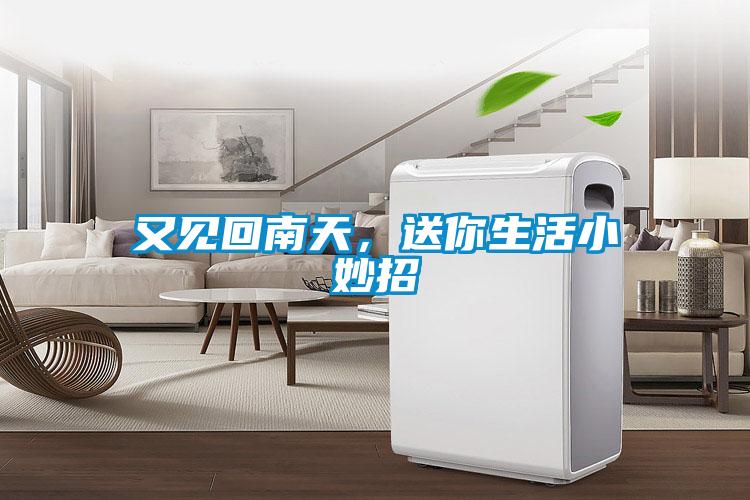 又見回南天，送你生活小妙招