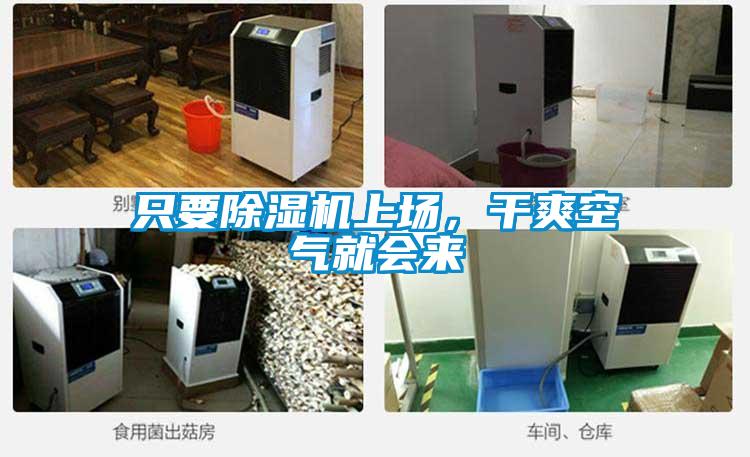 只要除濕機(jī)上場，干爽空氣就會(huì)來