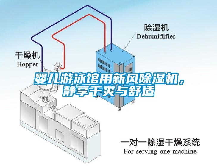 嬰兒游泳館用新風除濕機，靜享干爽與舒適