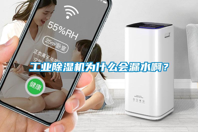 工業(yè)除濕機(jī)為什么會(huì)漏水啊？