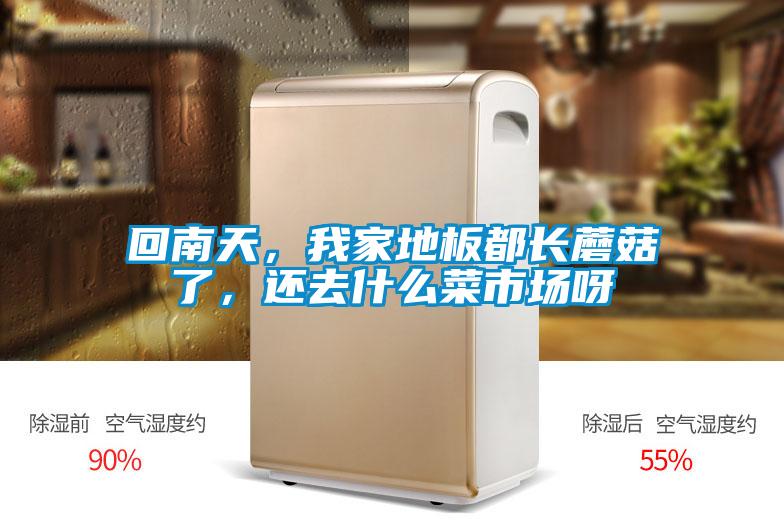 回南天，我家地板都長蘑菇了，還去什么菜市場呀