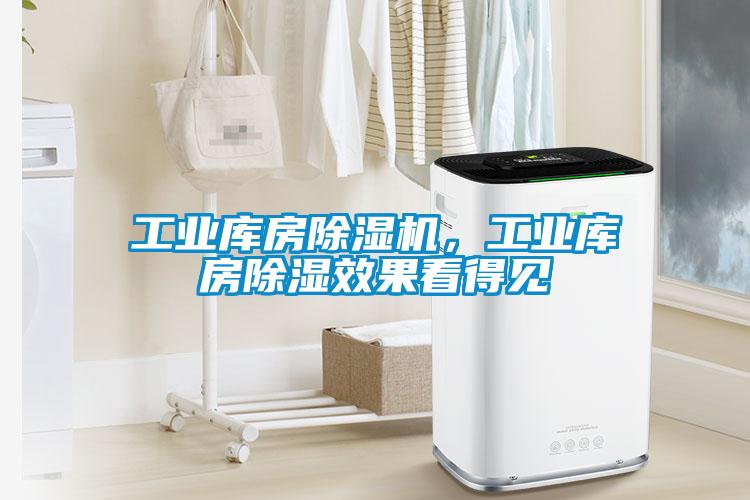 工業(yè)庫(kù)房除濕機(jī)，工業(yè)庫(kù)房除濕效果看得見(jiàn)