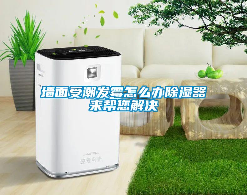 墻面受潮發(fā)霉怎么辦除濕器來(lái)幫您解決