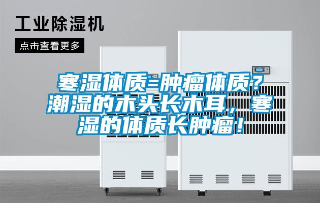 寒濕體質=腫瘤體質？潮濕的木頭長木耳，寒濕的體質長腫瘤！