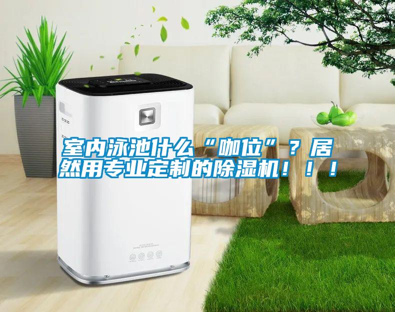 室內泳池什么“咖位”？居然用專業(yè)定制的除濕機！！！