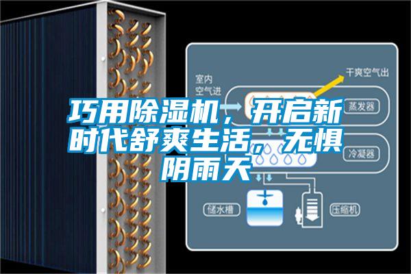 巧用除濕機(jī)，開(kāi)啟新時(shí)代舒爽生活，無(wú)懼陰雨天