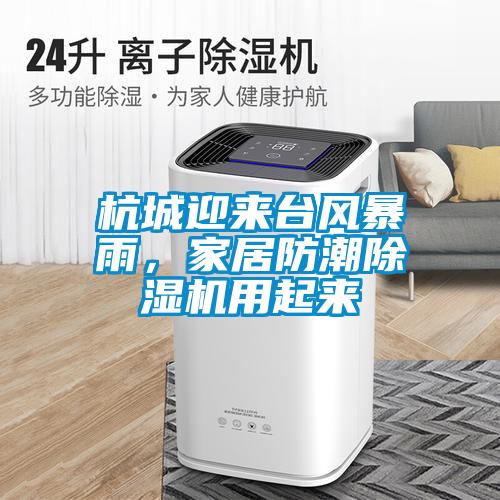 杭城迎來(lái)臺(tái)風(fēng)暴雨,家居防潮除濕機(jī)用起來(lái)