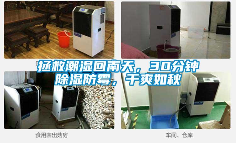 拯救潮濕回南天，30分鐘除濕防霉，干爽如秋