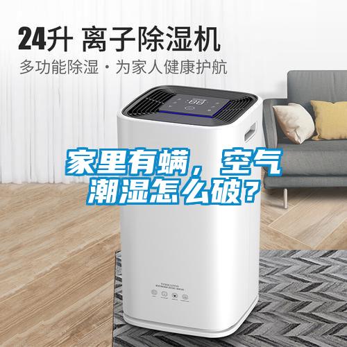 家里有螨，空氣潮濕怎么破？