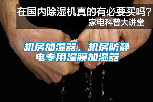 機(jī)房加濕器，機(jī)房防靜電專用濕膜加濕器