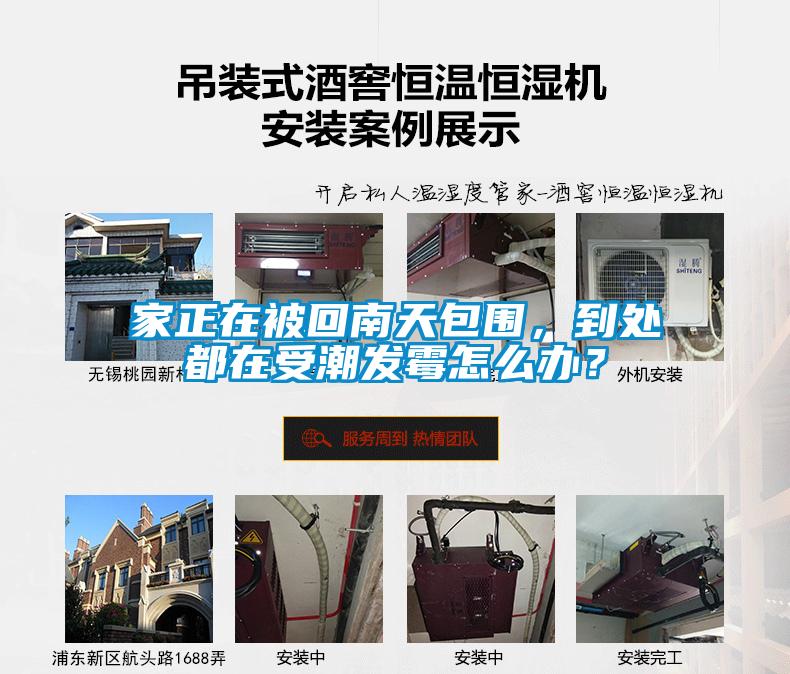 家正在被回南天包圍，到處都在受潮發霉怎么辦？