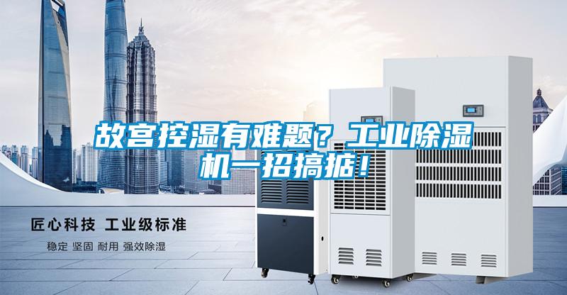 故宮控濕有難題？工業(yè)除濕機(jī)一招搞掂！