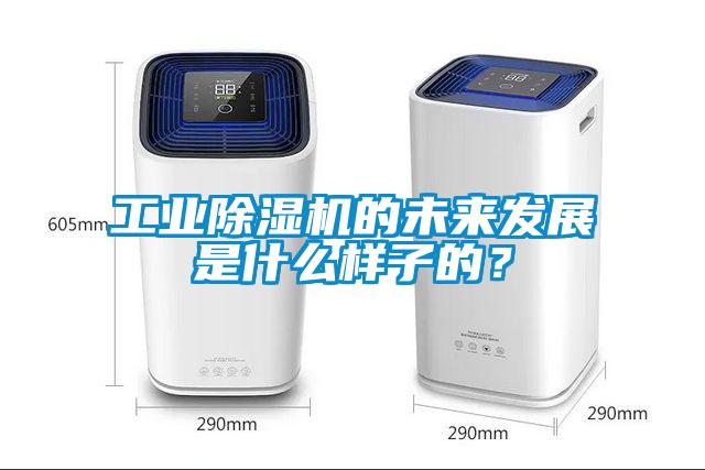 工業除濕機的未來發展是什么樣子的？