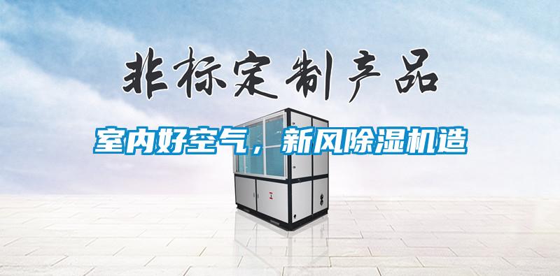 室內好空氣，新風除濕機造