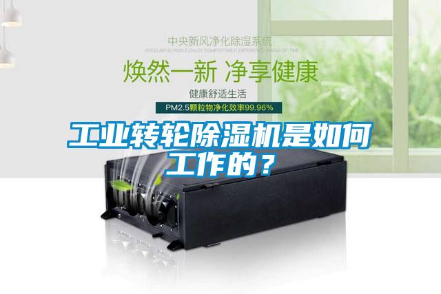 工業(yè)轉(zhuǎn)輪除濕機(jī)是如何工作的？
