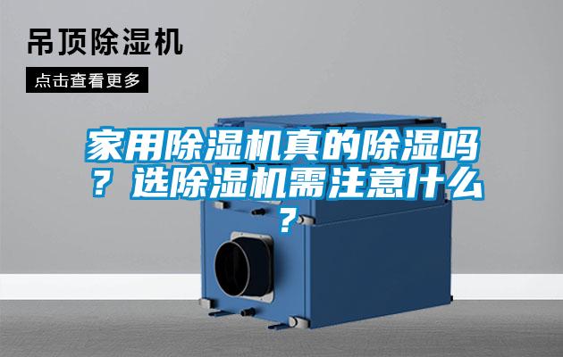 家用除濕機真的除濕嗎？選除濕機需注意什么？