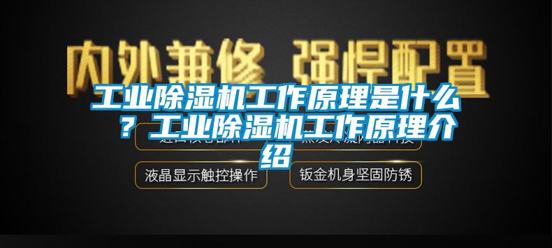工業(yè)除濕機(jī)工作原理是什么 ？工業(yè)除濕機(jī)工作原理介紹