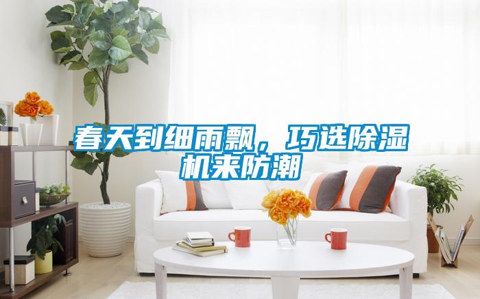 春天到細(xì)雨飄，巧選除濕機(jī)來(lái)防潮