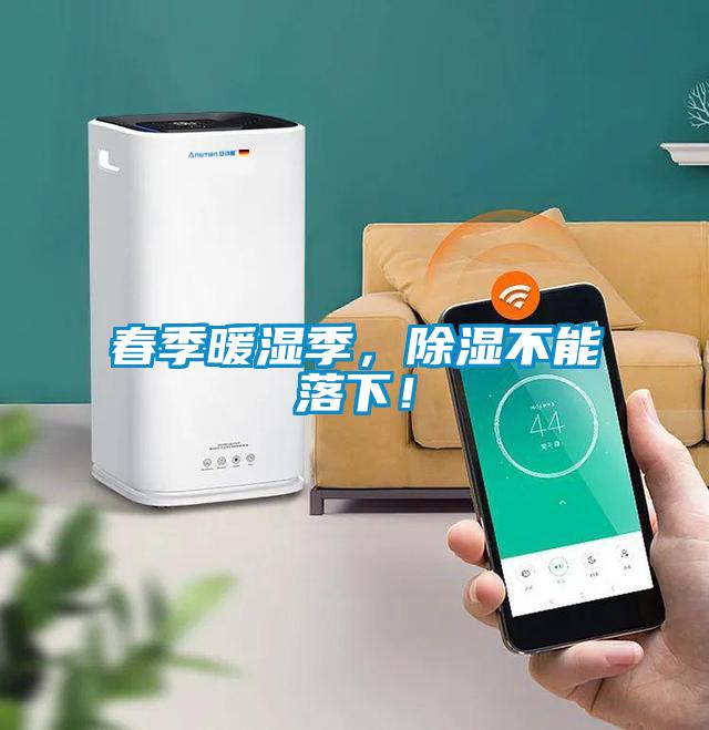 春季暖濕季，除濕不能落下！